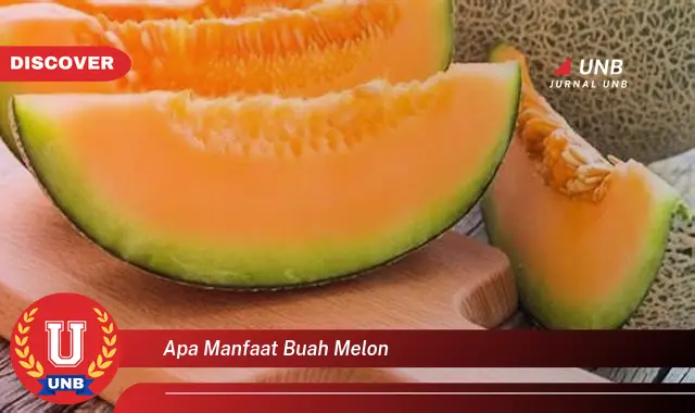 apa manfaat buah melon