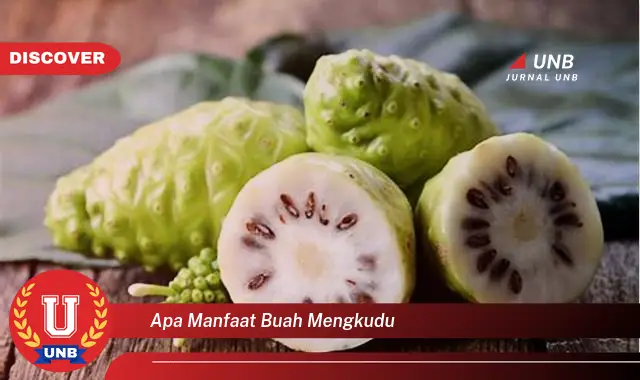 apa manfaat buah mengkudu