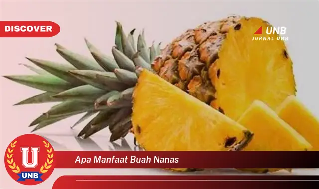 apa manfaat buah nanas apa manfaat buah nanas