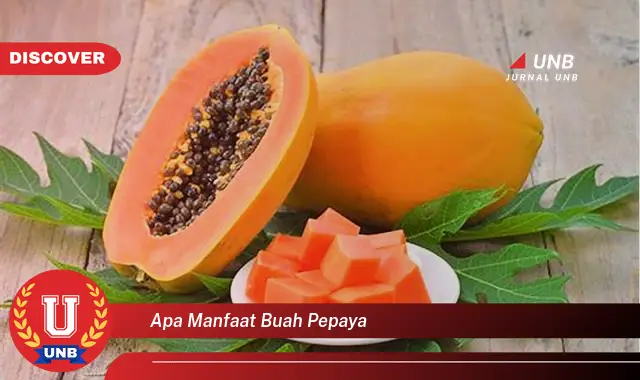 apa manfaat buah pepaya