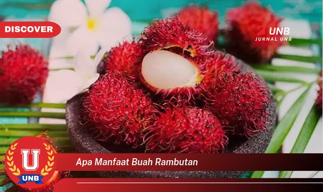 apa manfaat buah rambutan