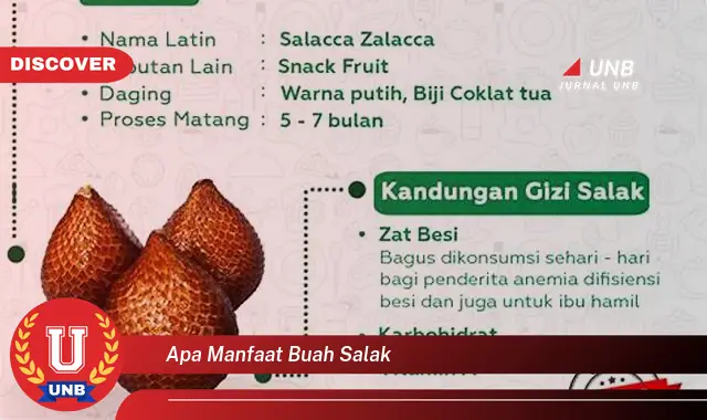 Kamu Wajib Tau, Ini dia 15 Manfaat Buah Salak yang Bikin Penasaran