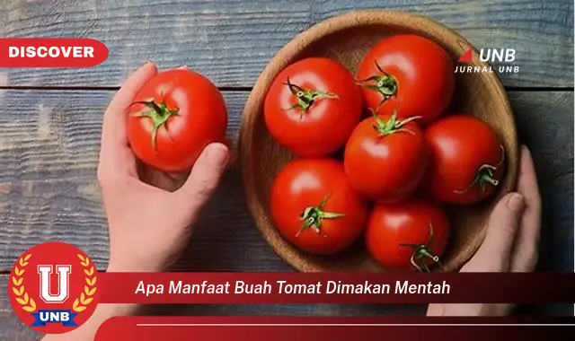 apa manfaat buah tomat dimakan mentah