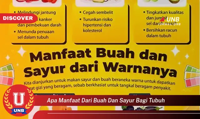 apa manfaat dari buah dan sayur bagi tubuh