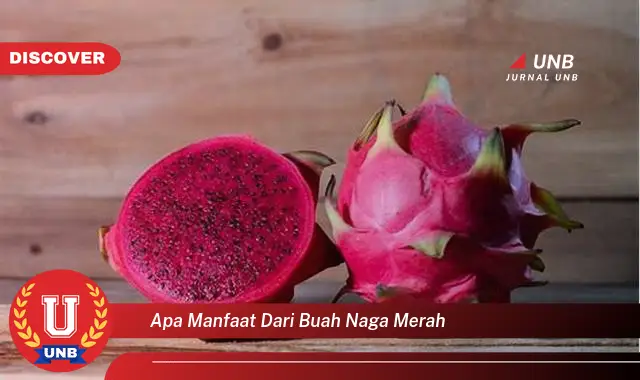 apa manfaat dari buah naga merah