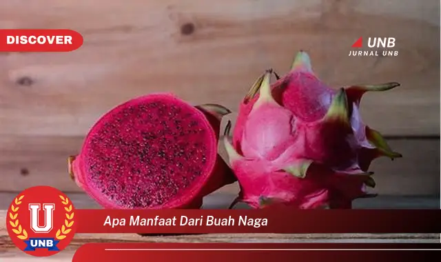 apa manfaat dari buah naga