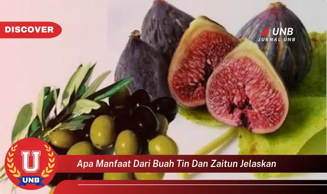 apa manfaat dari buah tin dan zaitun jelaskan