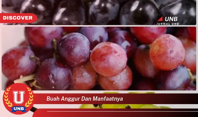 buah anggur dan manfaatnya