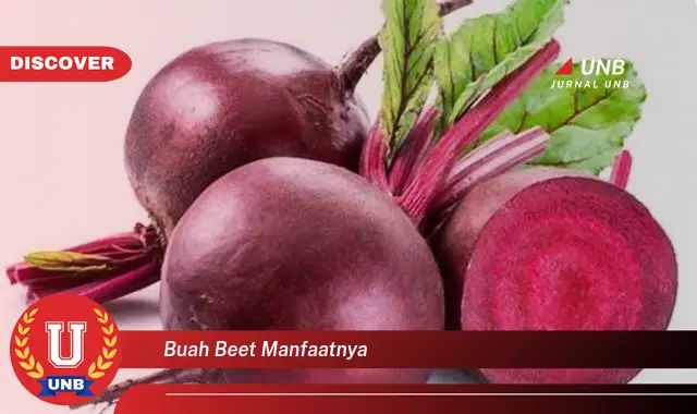 buah beet manfaatnya