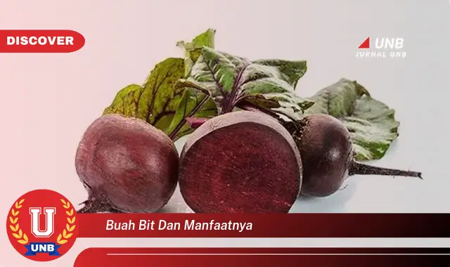 buah bit dan manfaatnya