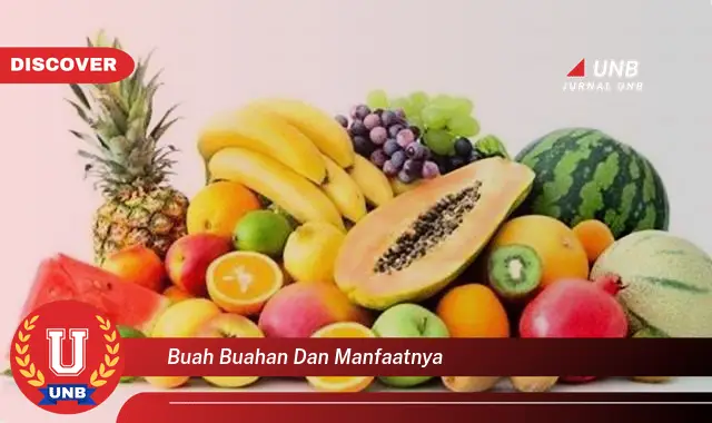 buah buahan dan manfaatnya