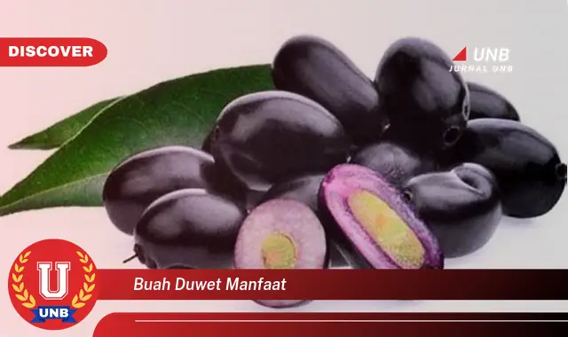 buah duwet manfaat
