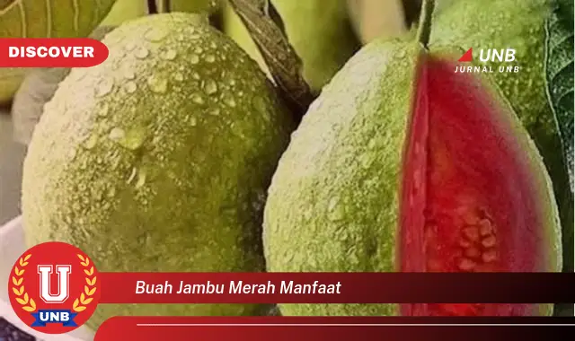 buah jambu merah manfaat