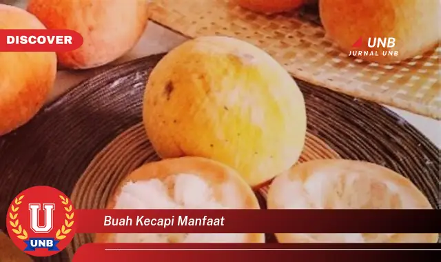 buah kecapi manfaat