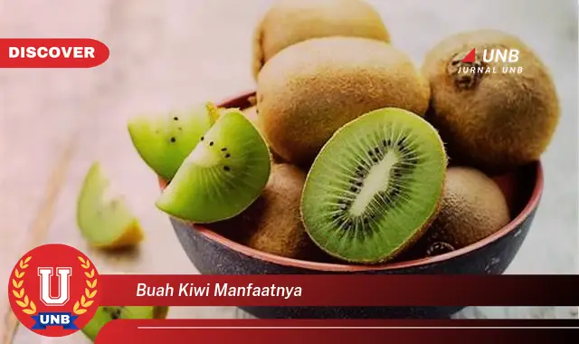 buah kiwi manfaatnya