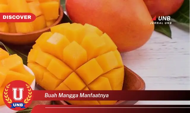 buah mangga manfaatnya