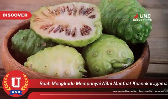 Intip 6 Manfaat Buah Mengkudu yang Wajib Kamu Tahu