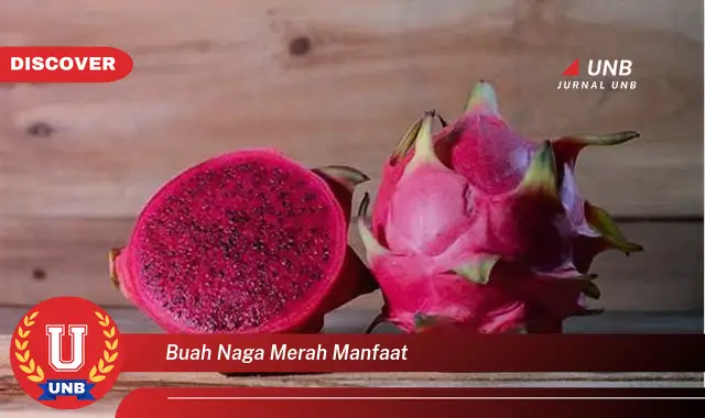 buah naga merah manfaat