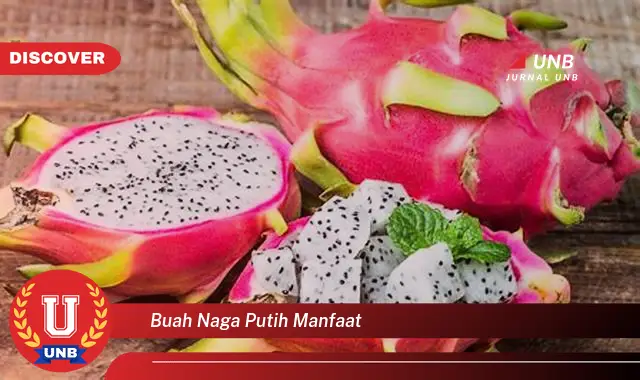 buah naga putih manfaat