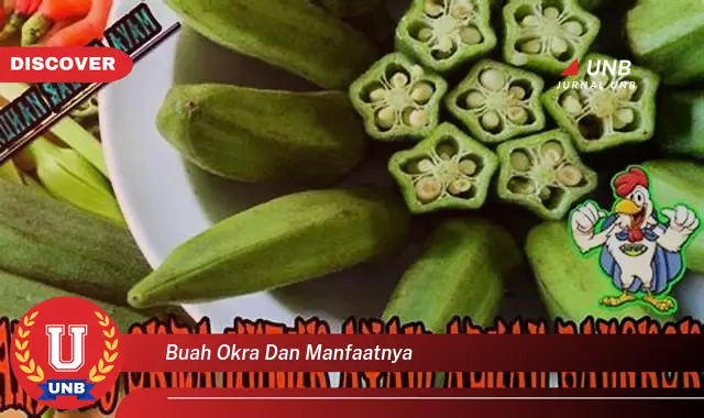 buah okra dan manfaatnya buah okra dan manfaatnya