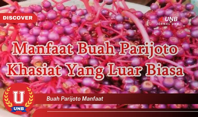 buah parijoto manfaat