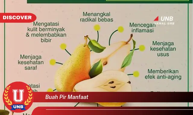 buah pir manfaat