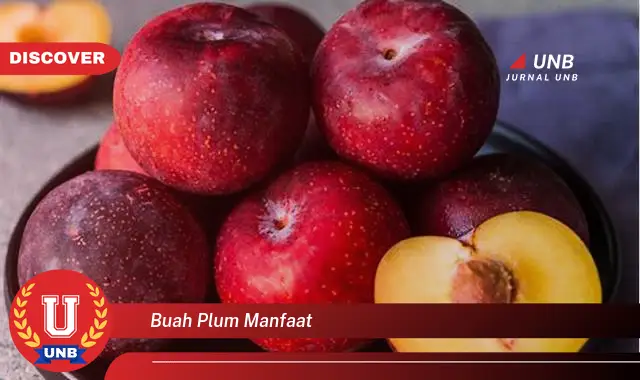 Banyak yang belum Tau, Ini dia 15 Manfaat Buah Plum yang Wajib Diketahui