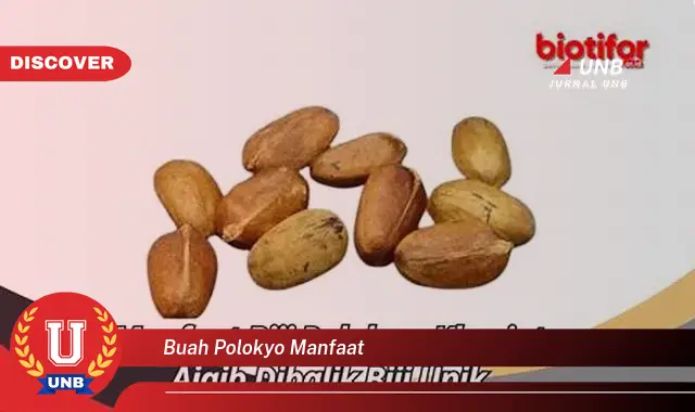 buah polokyo manfaat