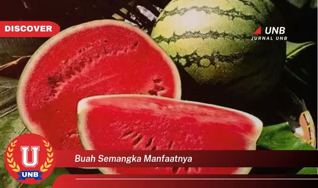 buah semangka manfaatnya