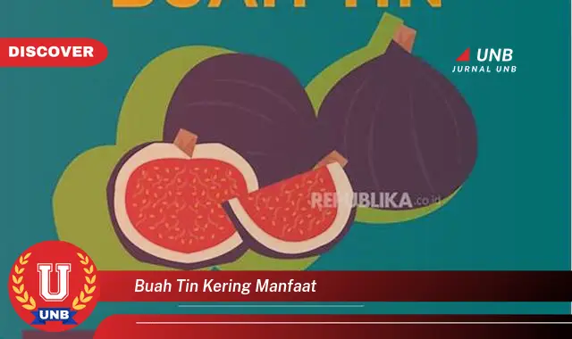 buah tin kering manfaat