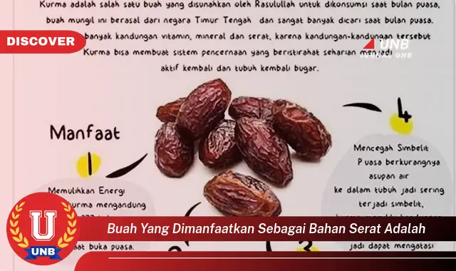 buah yang dimanfaatkan sebagai bahan serat adalah