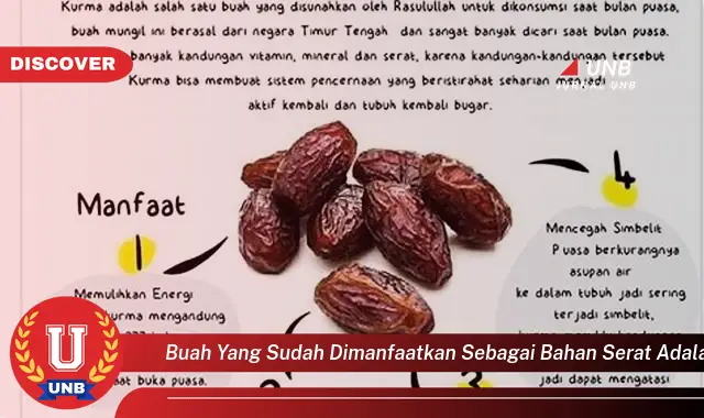 buah yang sudah dimanfaatkan sebagai bahan serat adalah