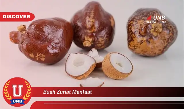 buah zuriat manfaat