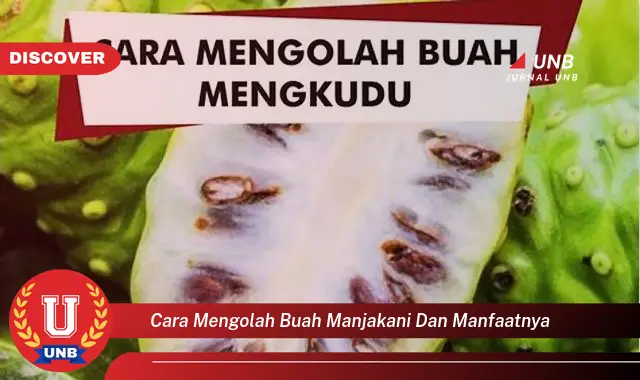cara mengolah buah manjakani dan manfaatnya cara mengolah buah manjakani dan manfaatnya