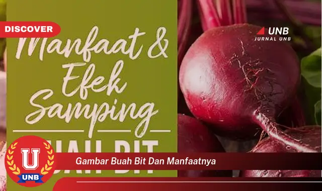 gambar buah bit dan manfaatnya