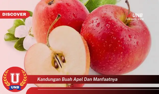 kandungan buah apel dan manfaatnya