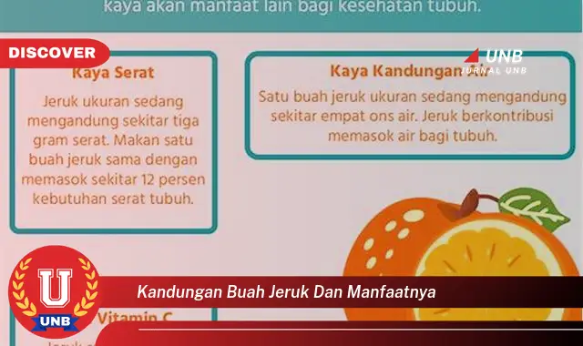 kandungan buah jeruk dan manfaatnya kandungan buah jeruk dan manfaatnya