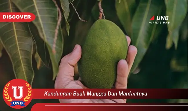 kandungan buah mangga dan manfaatnya