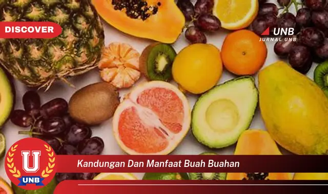 kandungan dan manfaat buah buahan