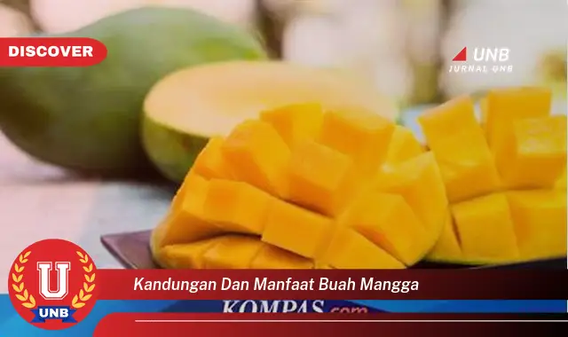 kandungan dan manfaat buah mangga