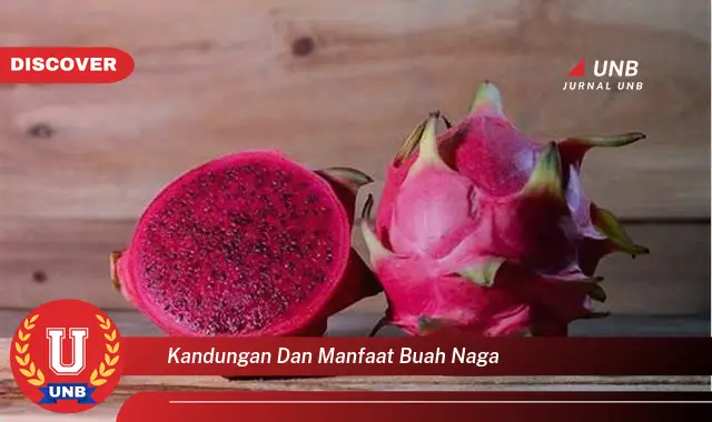 kandungan dan manfaat buah naga