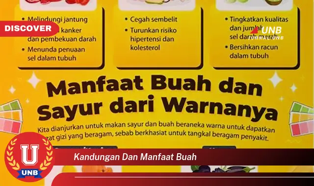 kandungan dan manfaat buah