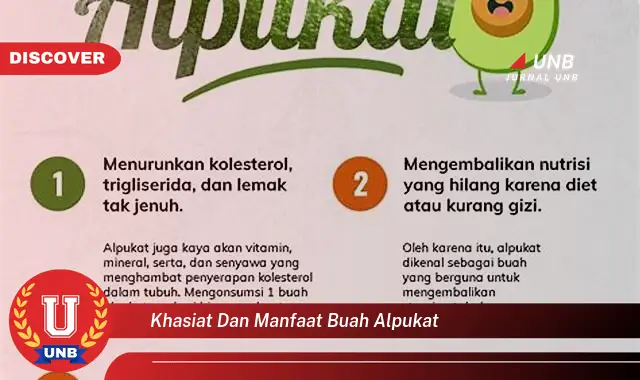 khasiat dan manfaat buah alpukat khasiat dan manfaat buah alpukat