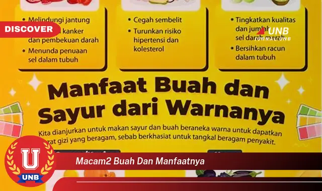 macam2 buah dan manfaatnya