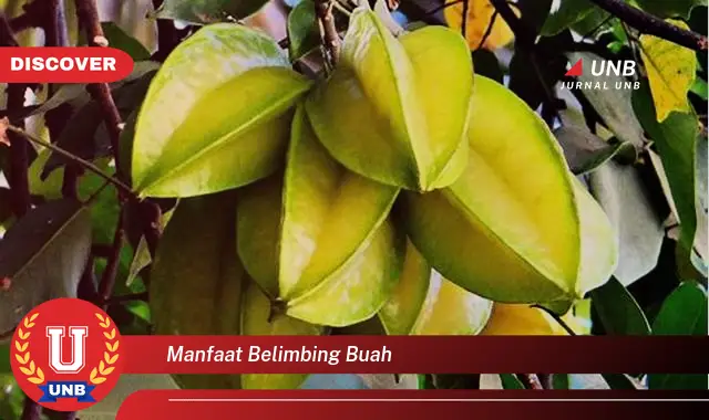 manfaat belimbing buah