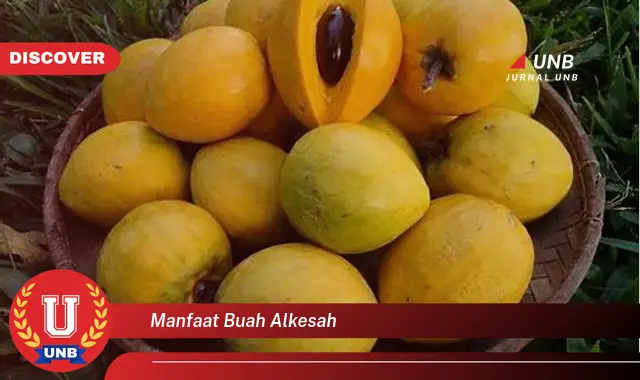 manfaat buah alkesah