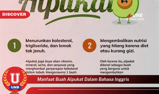 manfaat buah alpukat dalam bahasa inggris