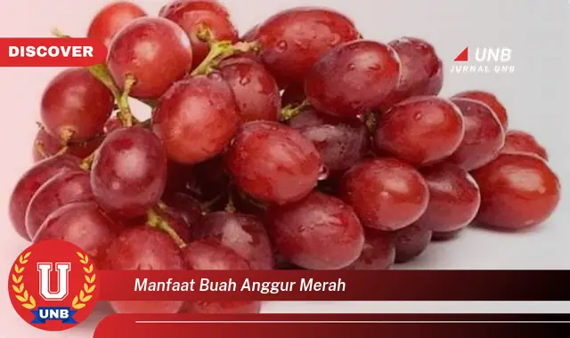 manfaat buah anggur merah manfaat buah anggur merah