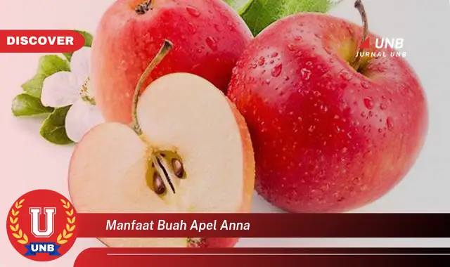 manfaat buah apel anna