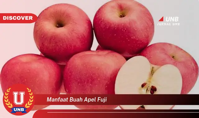 manfaat buah apel fuji manfaat buah apel fuji